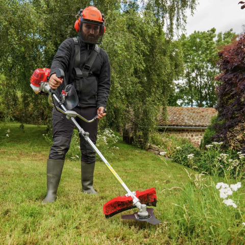 image_2025-11-11_202443815