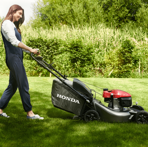 image_2025-11-11_202733617